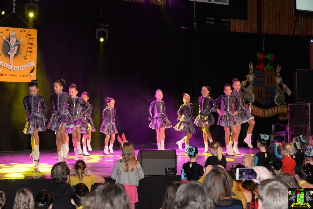 ../Images/Dansmarieke festival 2018 093.jpg